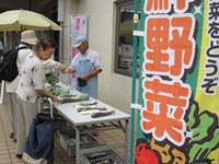 yasai