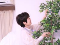 掃除・片付け・洗濯などの家事代行サービス